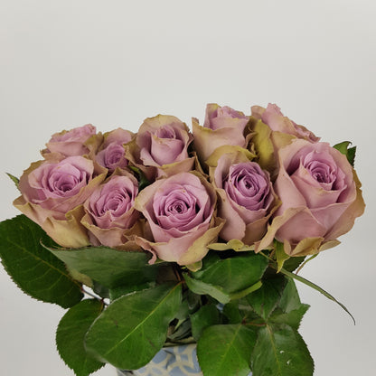 Rose Samantha Bridal 50cm (Imported) - Purple