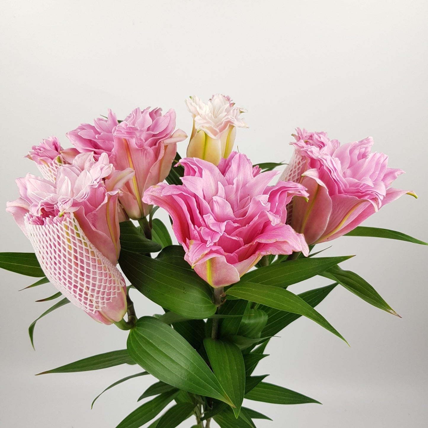 Roselily - Dark Pink (2 Stems)