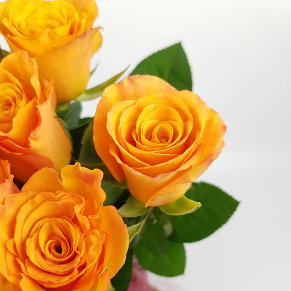 Rose 50cm   - Orange (10 Stems)