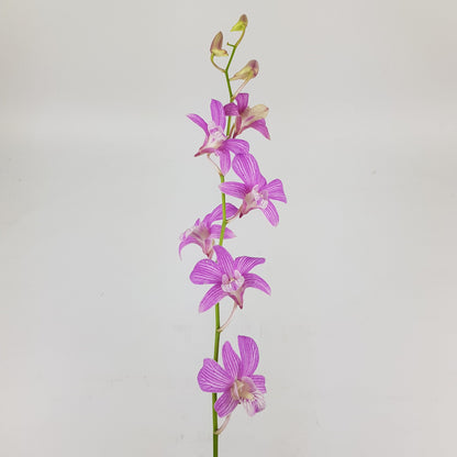 Orchid - Purple (5 Stems)