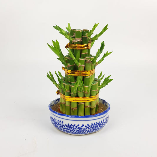 Lotus Bamboo Tower (S)