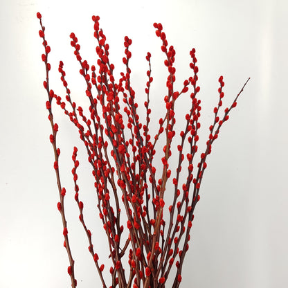 Pussy Willow Spray 5Ft - Red (9-10 Stalks)