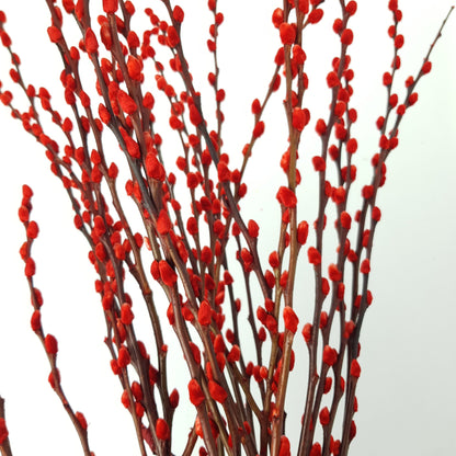 Pussy Willow Spray 5Ft - Red (9-10 Stalks)