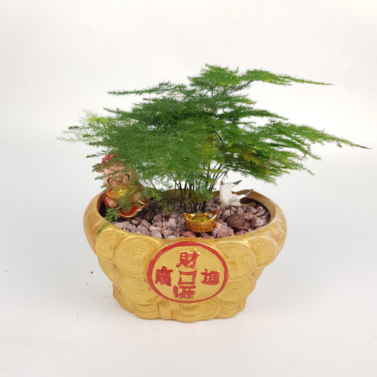 Asparagus Fern Arrangement - Rich God Forest