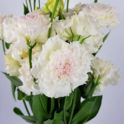 Eustoma - Ice Cream Light Pink (600g)