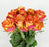 Rose Silantoi 40cm - 2 Tone Orange Red (10 Stems)