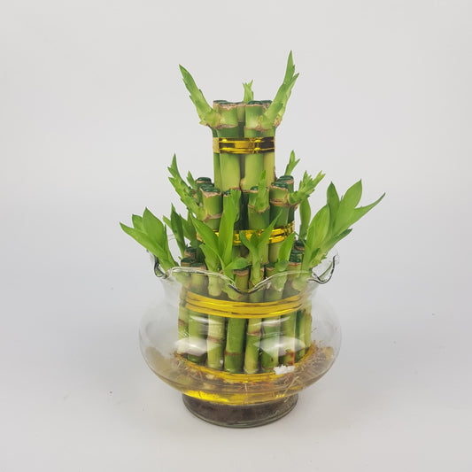 Lotus Bamboo Tower S - 17 cm