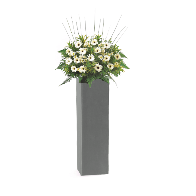 Shooting Stars Condolence & Funeral Flower Stand