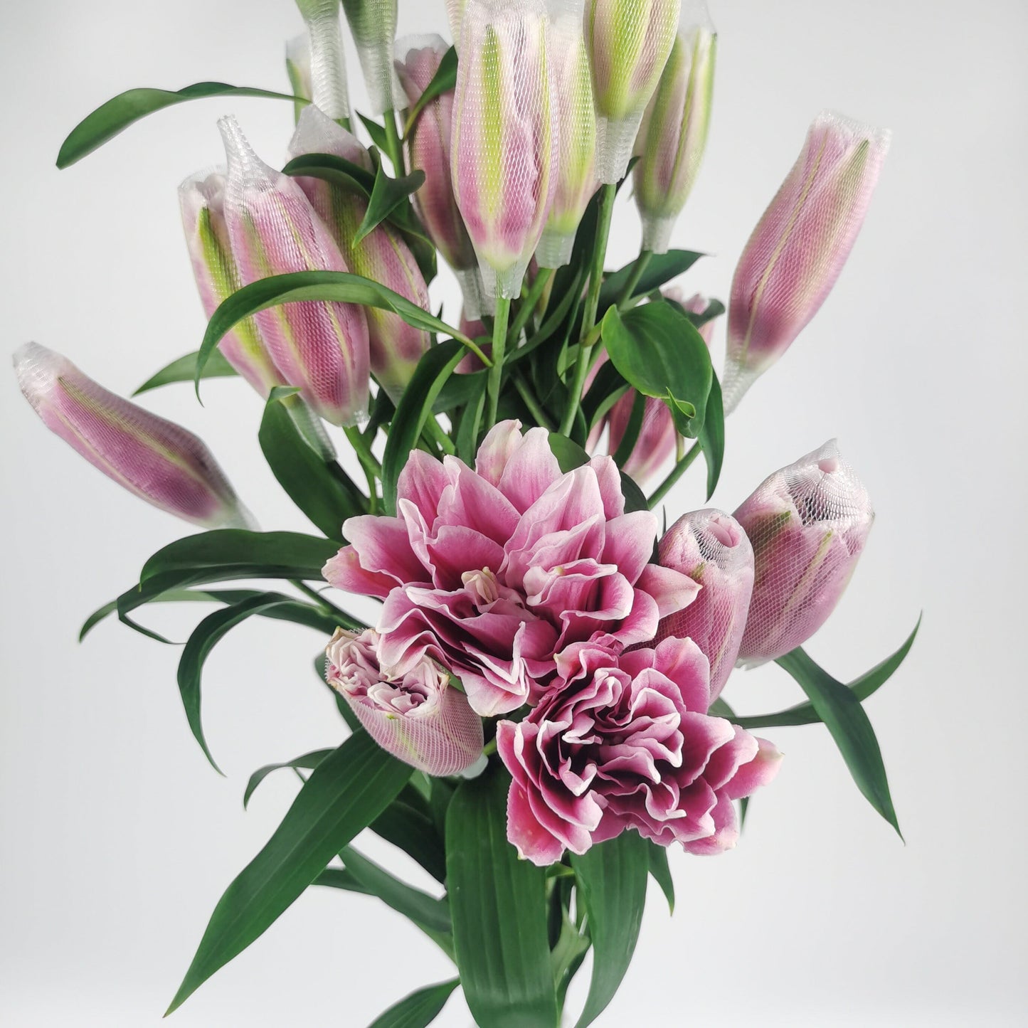 Roselily - Natalia Pink (2 Stems)