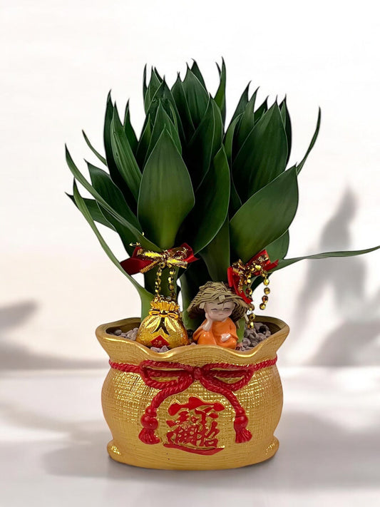 Lucky Bamboo - Treasure Bag