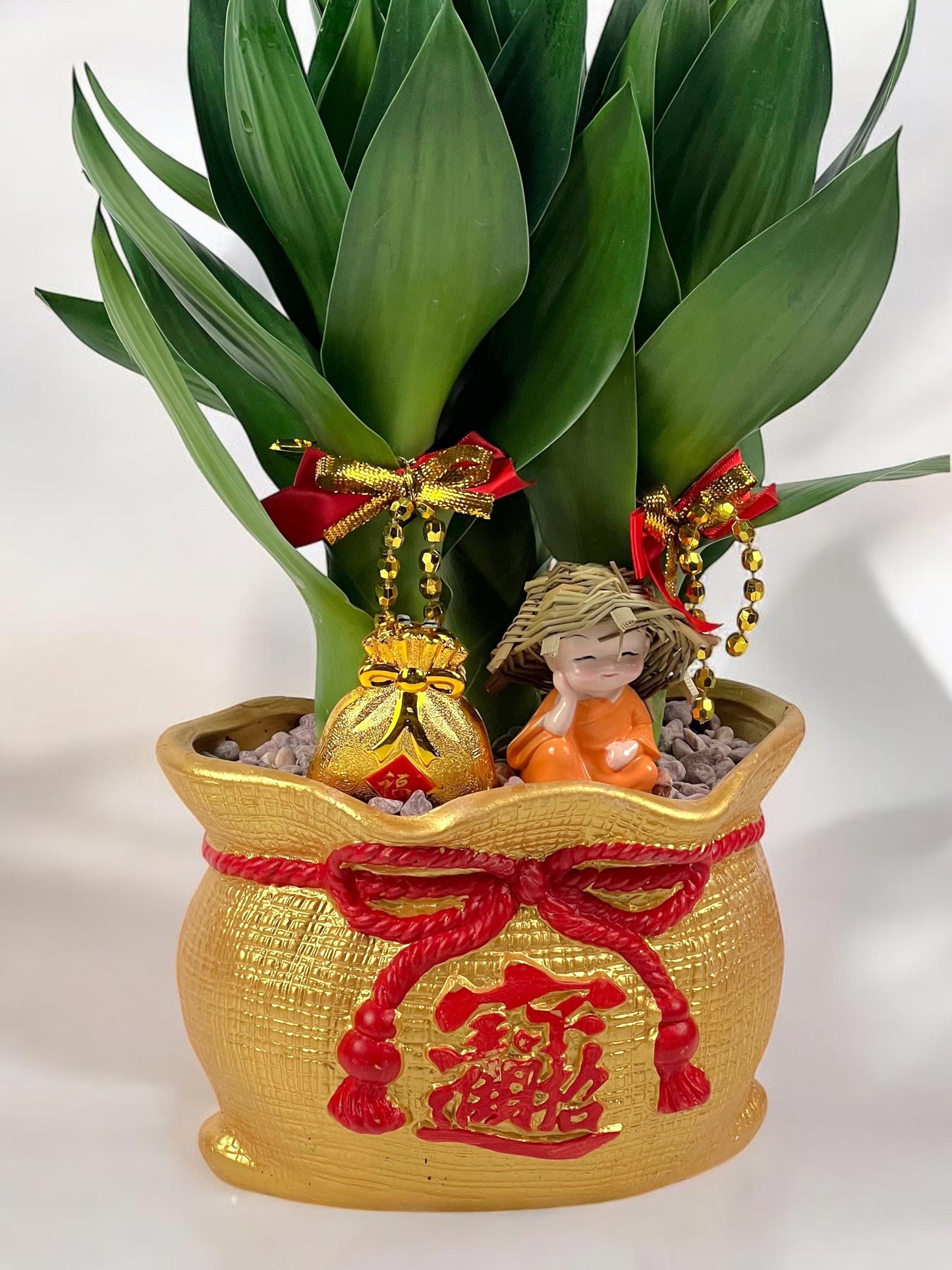 Lucky Bamboo - Treasure Bag