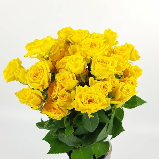 Rose Spray - Yellow