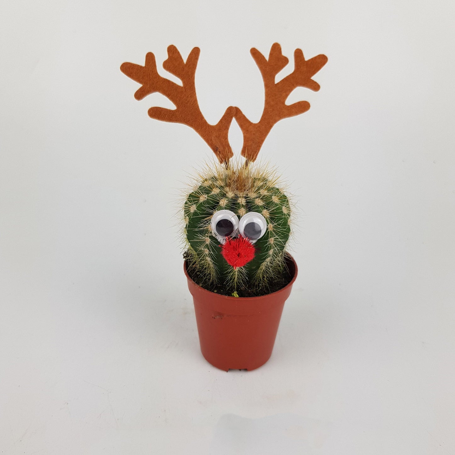 Cactus Reindeer