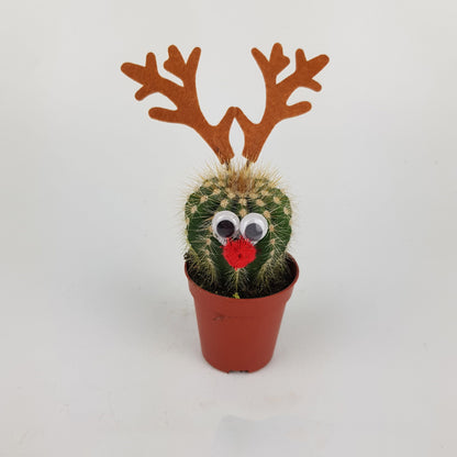 Cactus Reindeer