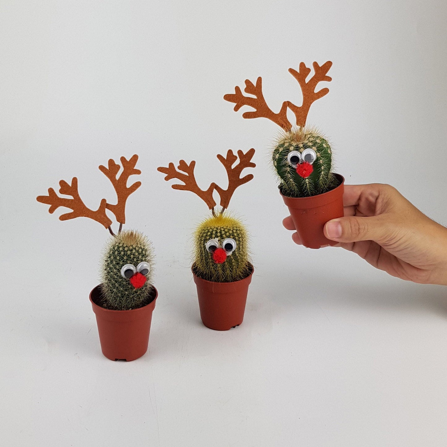 Cactus Reindeer