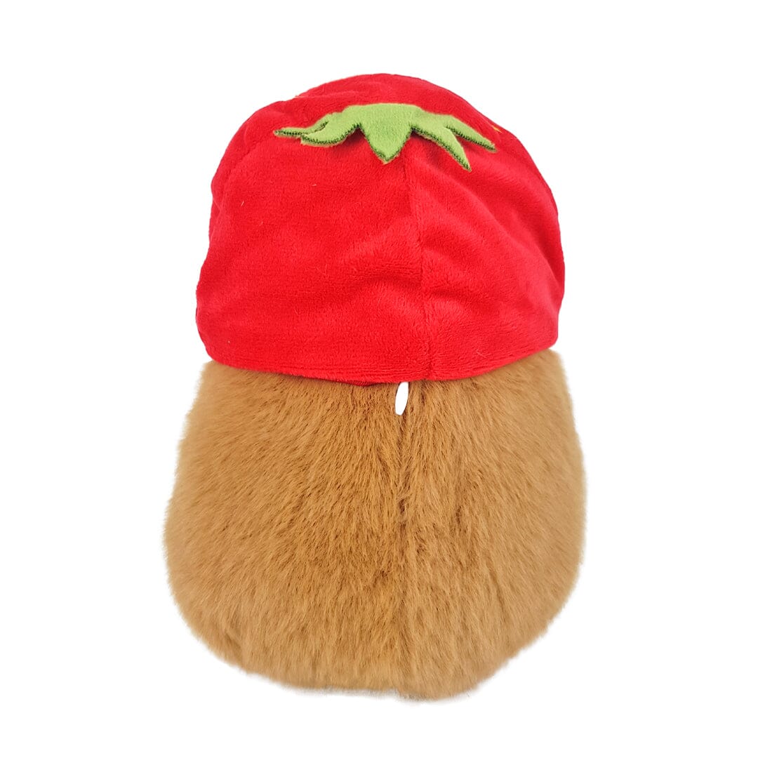 Capybara with Strawberry Hat Plushies