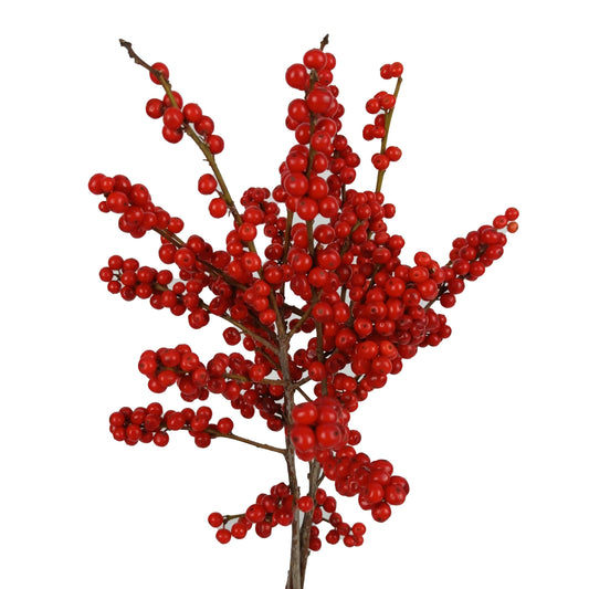 [Pre-Order] Ilex Berry - 60cm (1 Stem)