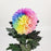 Mum Taiwan Dye Colour (Local) - Rainbow