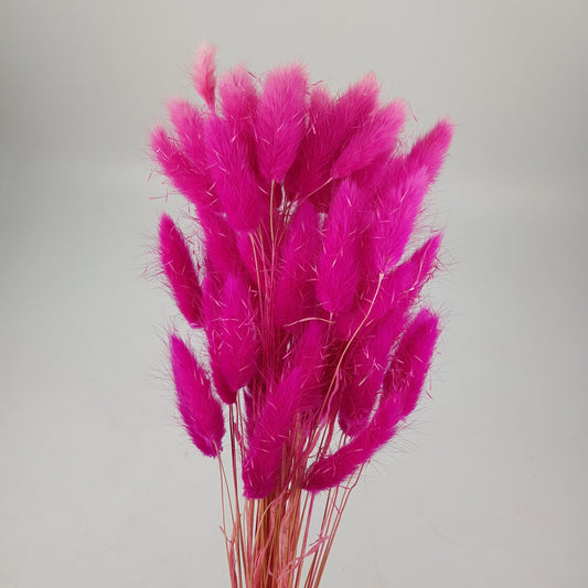 Preserved Rabbit Tail - Bright Pink