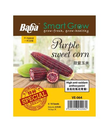 BABA Vegetable Seeds - Purple Sweet Corn