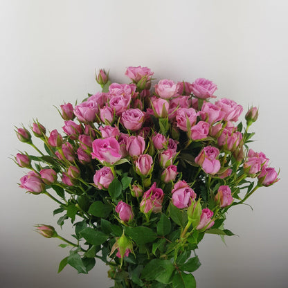 Fully Bloom Rose Spray - Mix [Clearance Stock]