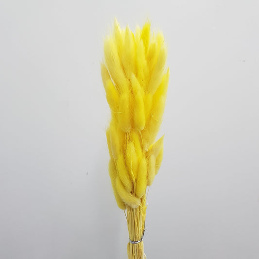 Preserved Rabbit Tail - Yellow