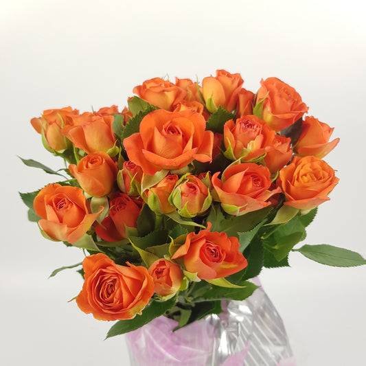 Rose Spray - Orange