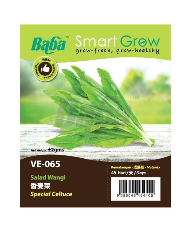 BABA Vegetable Seeds - Special Celtuce