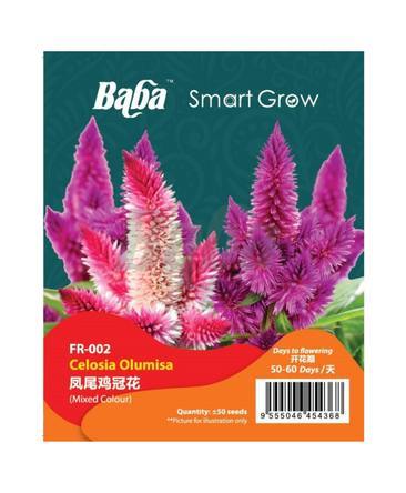 BABA Flower Seeds - Celosia Oulumsia