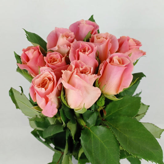 Rose 40cm  - 2 Tone Pink Peach