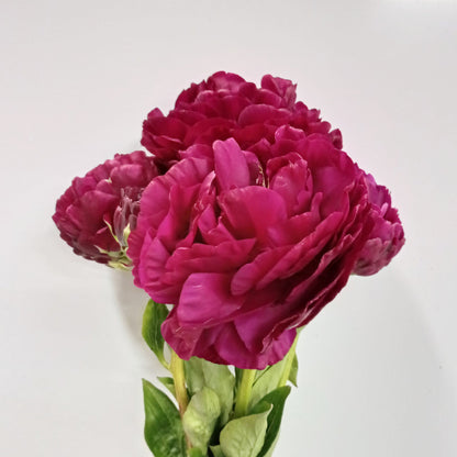 Peony Command Performance - Cherry Pink