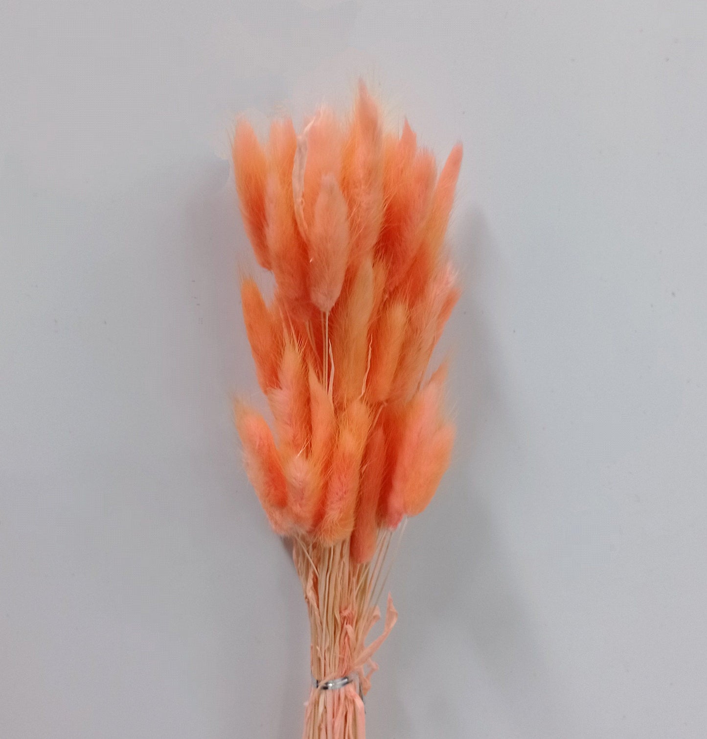 Bunny Tail - Orange