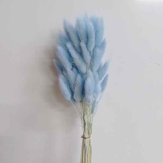 Preserved Rabbit Tail - Light Blue