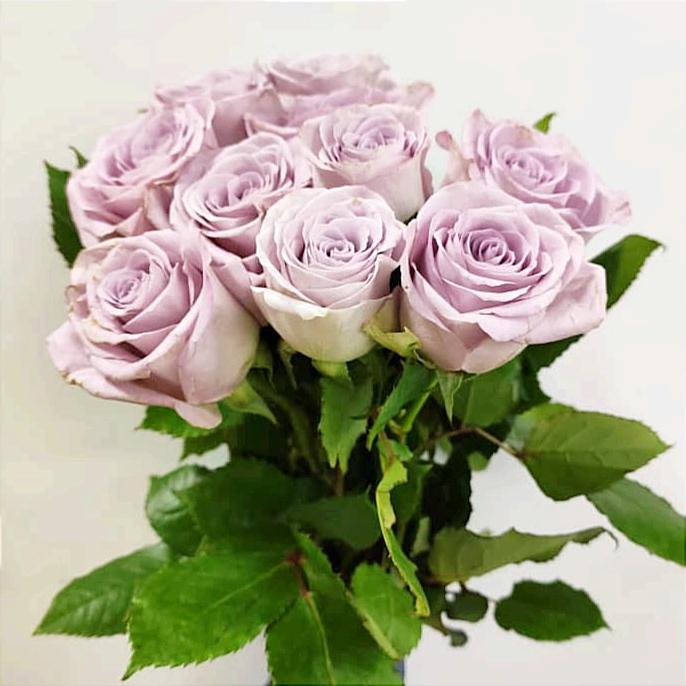 Rose 40cm  - Purple