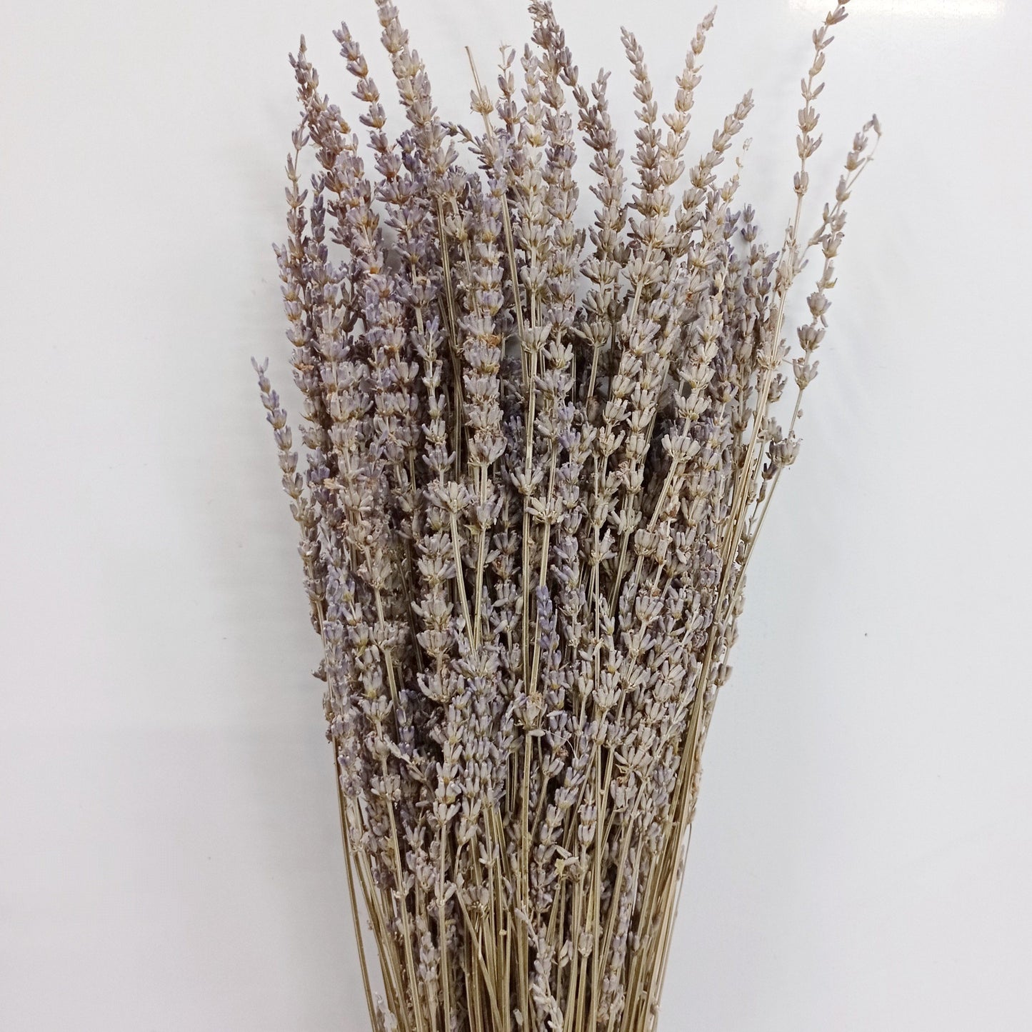 Dried Lavender