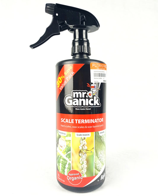 Mr Ganick Scale Terminator (1L)