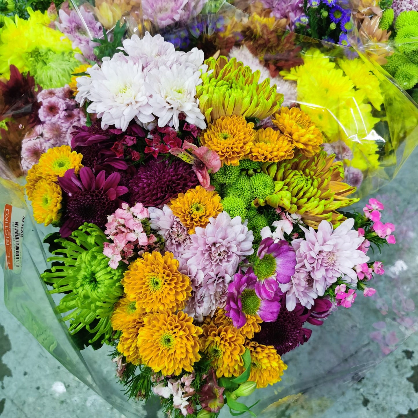 Weekly Flowers - Chrysanthemum Pom Pom