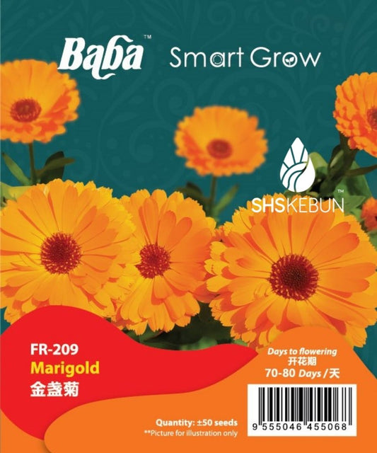 BABA Flower Seeds - Marigold