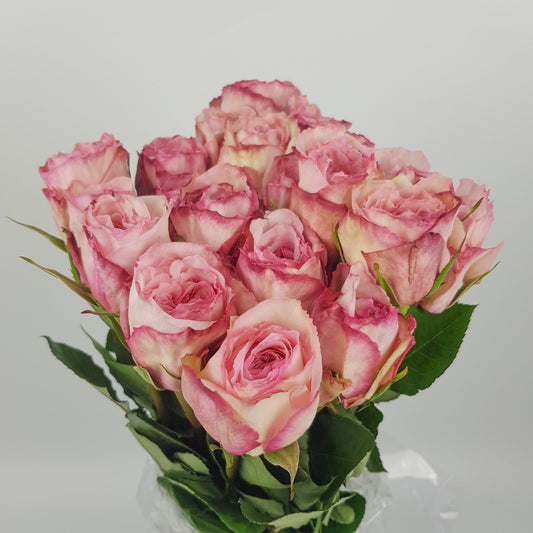 Rose - Weizifu Garden Pink (10 Stems)