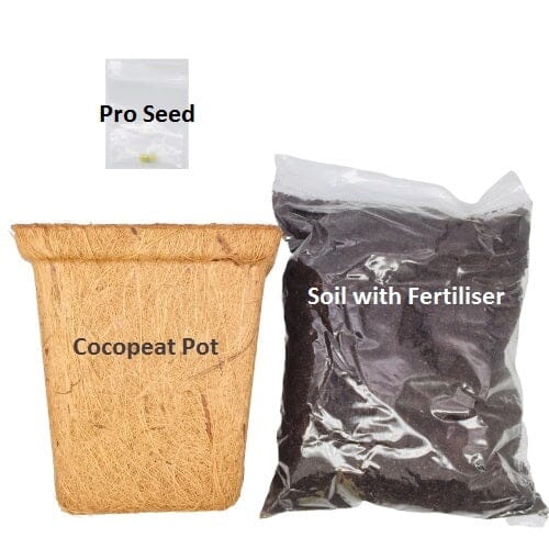 Nanotech Herb Easygrow