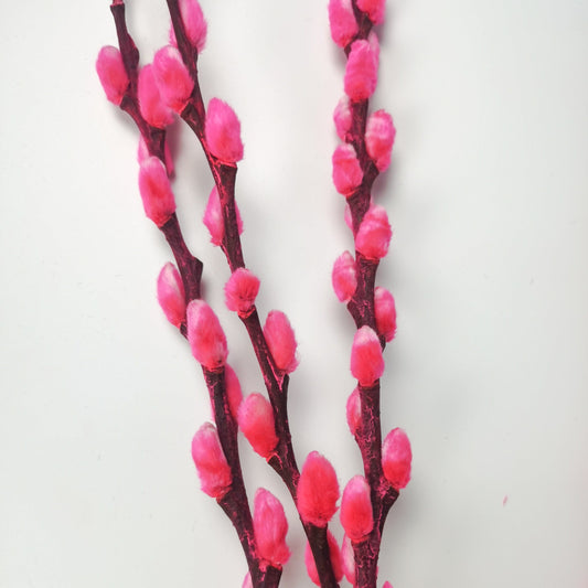 [Clearance] Pussy Willow 6Ft (Imported) - Sweet Pink (10 Stalks)